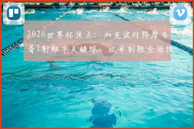 2026世界杯焦点:加克波对阵摩洛哥1射即中关键球,效率制胜全场技术统计解析